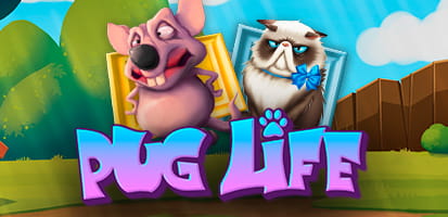 Игровой автомат Pug Life от Hacksaw Gaming